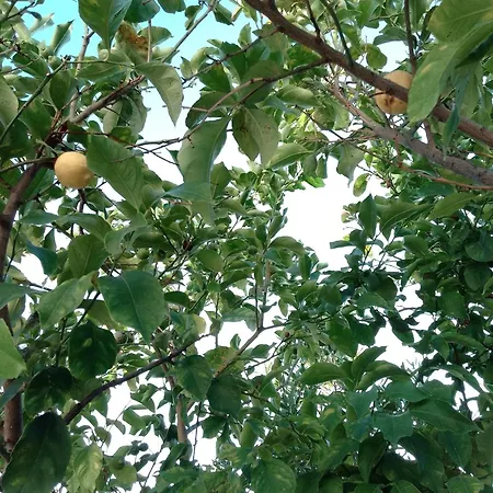 Quarto em Acomodações Particulares Zia Maria *