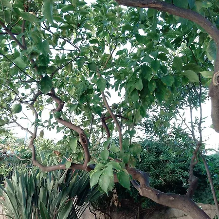 Quarto em Acomodações Particulares Zia Maria Bari